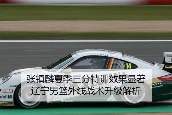 张镇麟夏季三分特训效果显著 辽宁男篮外线战术升级解析